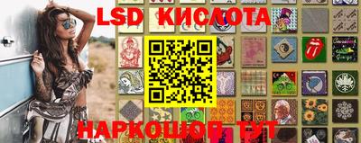 крисы Бийск
