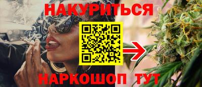 крисы Бийск