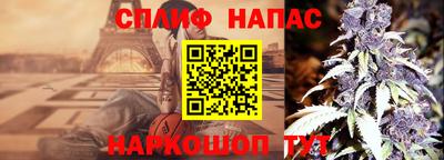 крисы Бийск
