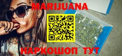 крисы Бийск