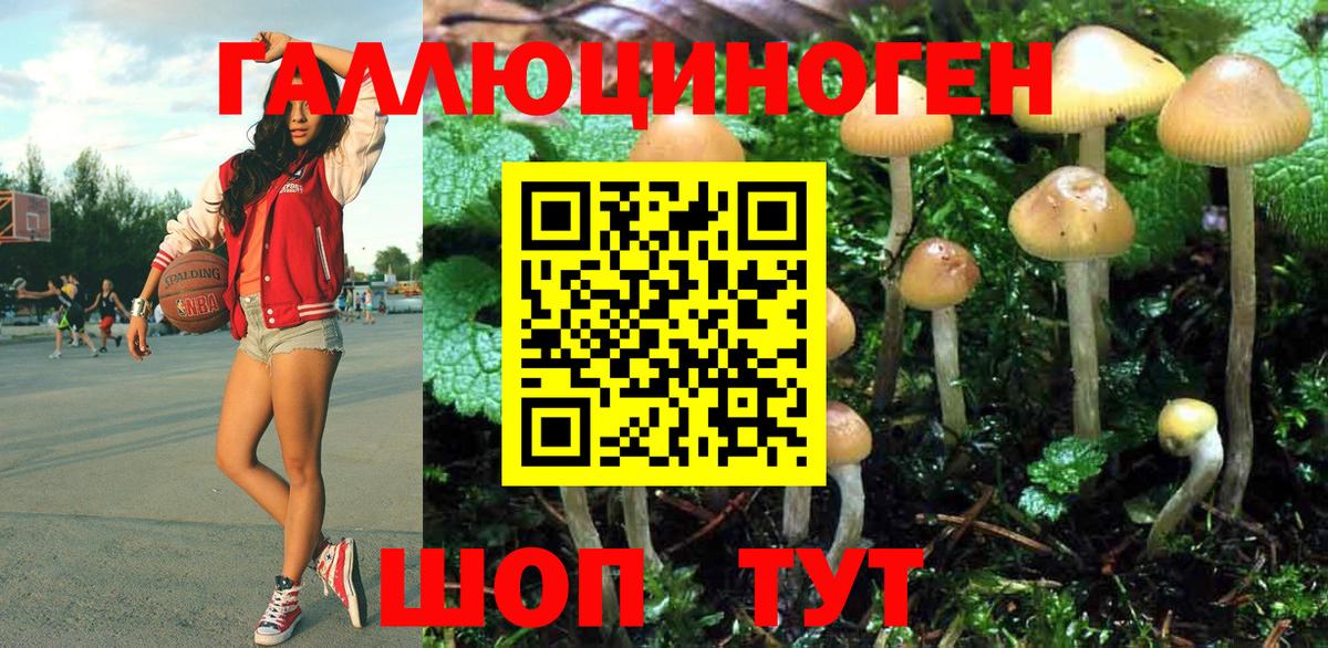 Камышлов  Галлюциногенные грибы прущие грибы  Вход с VPN 
